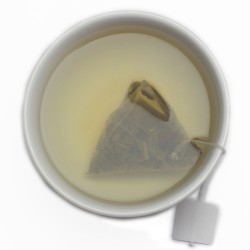 Pure Wellness Green Tea Pyramid - 2500 Teabags